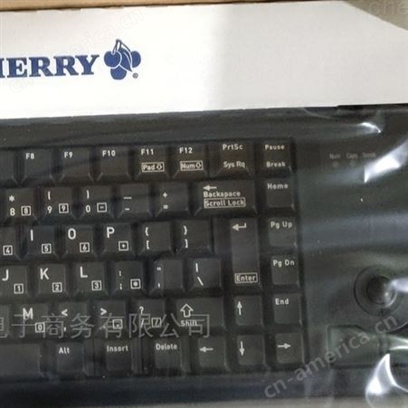 CHERRY G84-4400LPBEU-0键盘