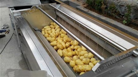 马铃薯去皮清洗机