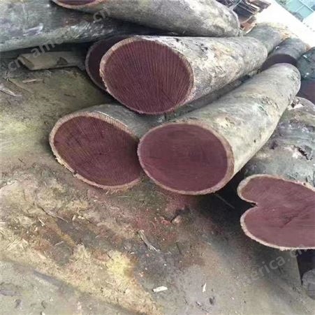 鑫元茂木业 供应泰国花梨 红木家具用材 ，红木工艺品雕刻料