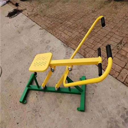 体之健 生产销售 漫步机 健身车 划船器 大荡椅 双杠  支持定制