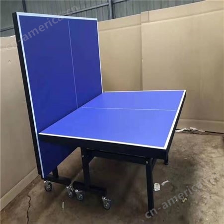 移动式乒乓球台 可折叠 室内室外均可使用 体之健