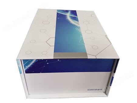 氧化型(GSSG)含量测试盒