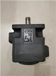 国家定型YB1系列6.3MPA中压叶片泵，型号：YB1-40