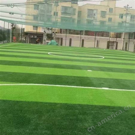足球场用草-人造草坪足球场-重庆拓力-重庆四川足球场人造草坪