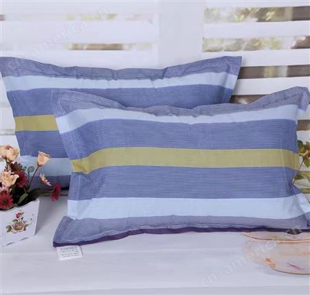 爱舍荞麦皮枕头 单人学生枕 枕芯填充饱满 支撑性足 颜色可选