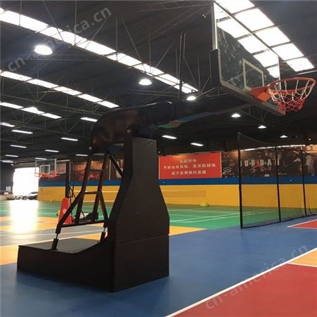 体育器材篮球架 室外比赛用 液压篮球架子 表面做防腐处理