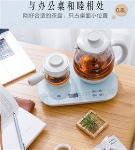 小熊煮茶器ZCQ-A08E1家用玻璃全自动蒸汽喷淋式泡茶套装黑茶壶炉