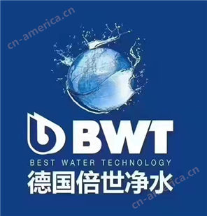 倍世BWT欧洲台下式末端净水器 直饮机Woda-Pure Energy UFA