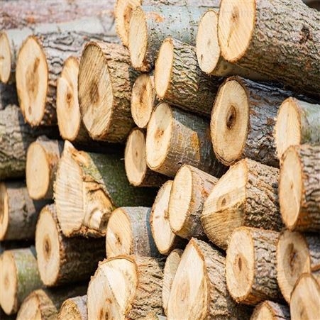 进口木材报关|原木进口报关公司|木材进口清关